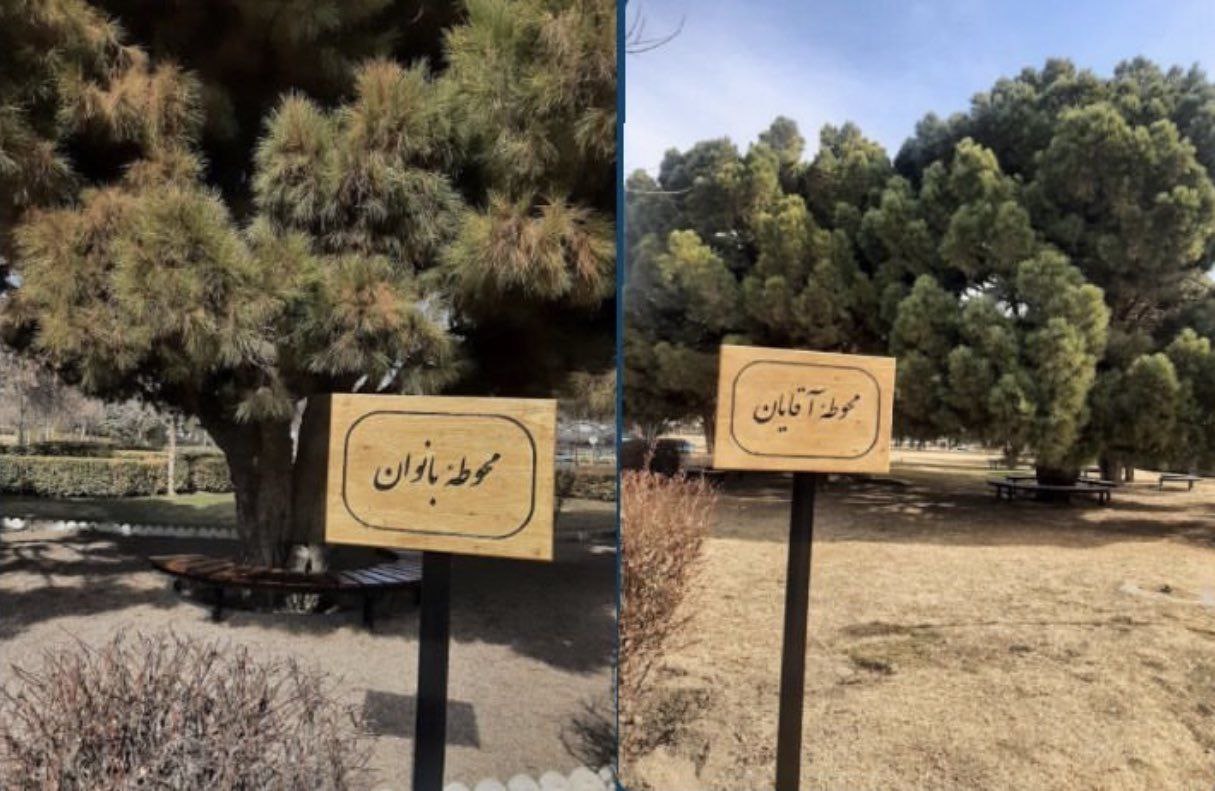 زنانه و مردانه شدن فضای سبز دانشگاه فردوسی مشهد