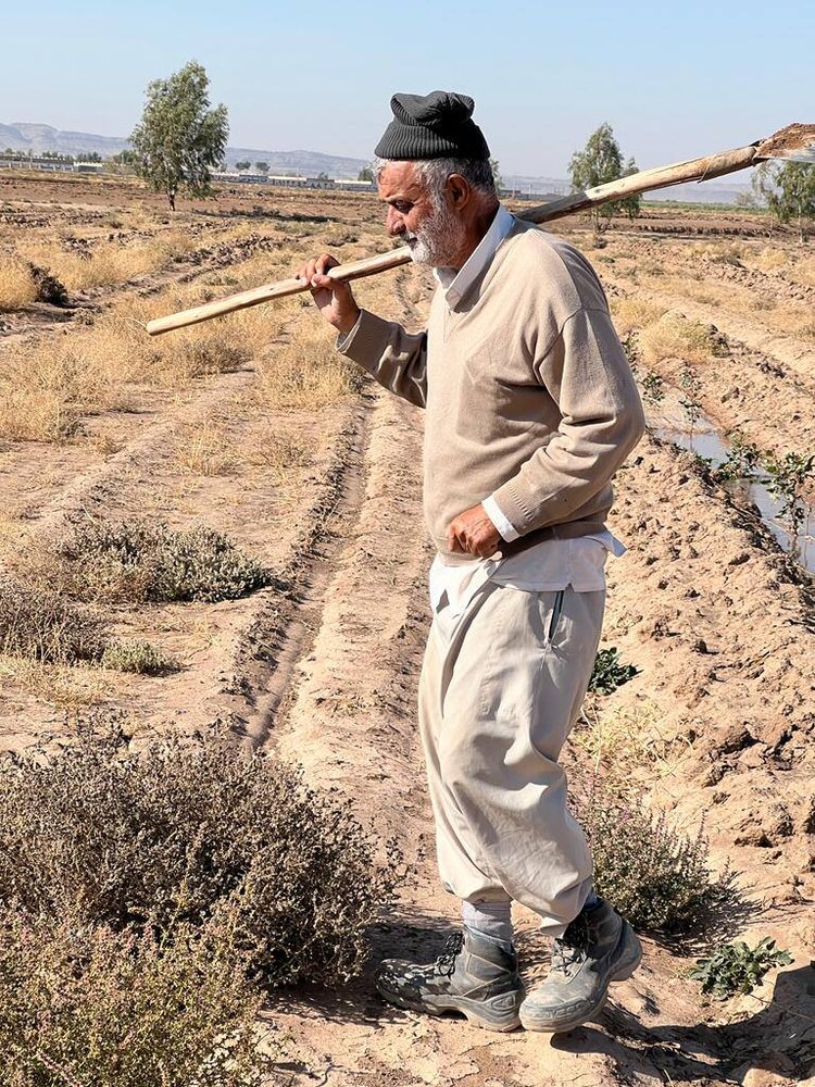 محمود حجتی در زمین کشاورزی