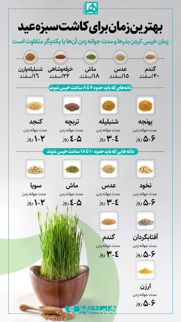 بهترین زمان کاشت سبزه عید با انواع بذرها + جدول 2