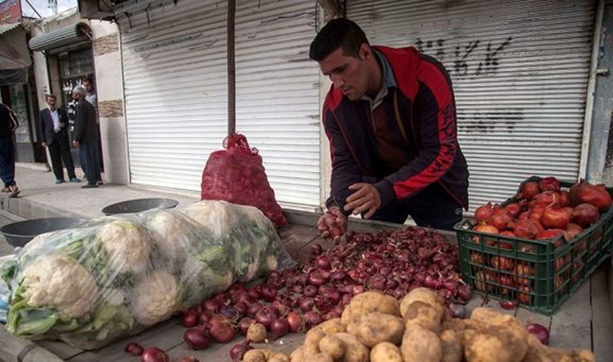 قهرمان جودوی جهان سیب زمینی و پیاز می‌فروشد