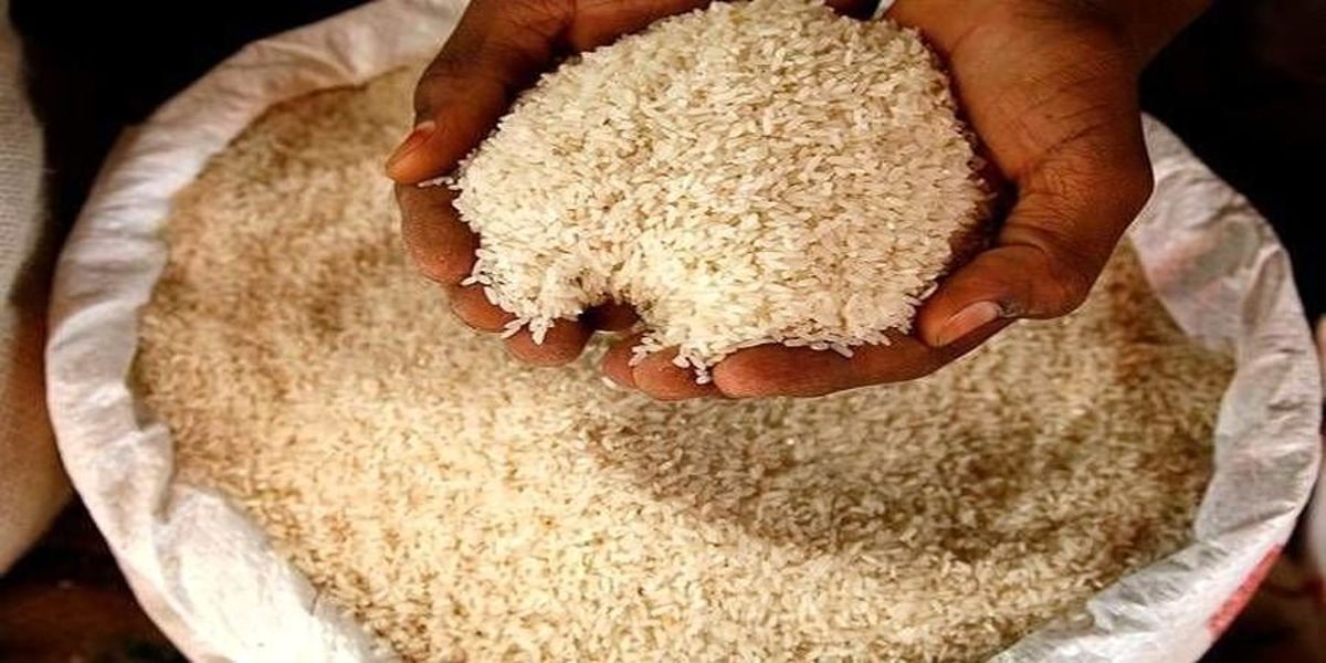 آخرین قیمت برنج ایرانی در بازار+جدول
