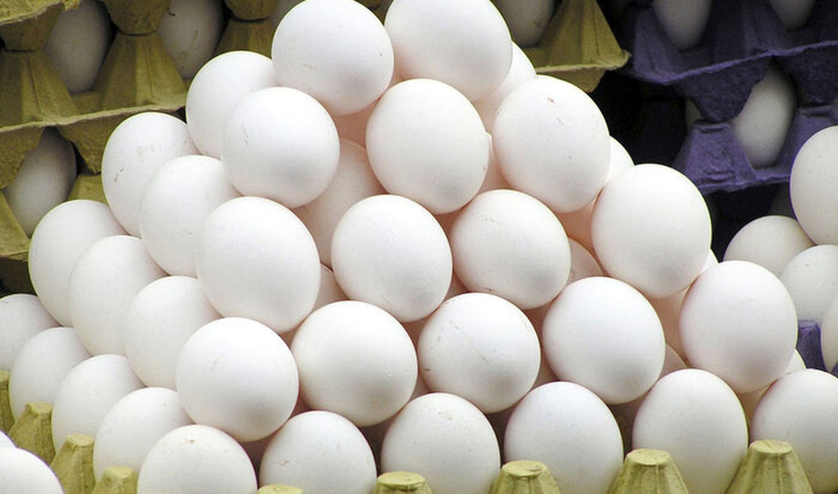 کشف و ضبط 10 تن تخم مرغ قاچاق در زاهدان